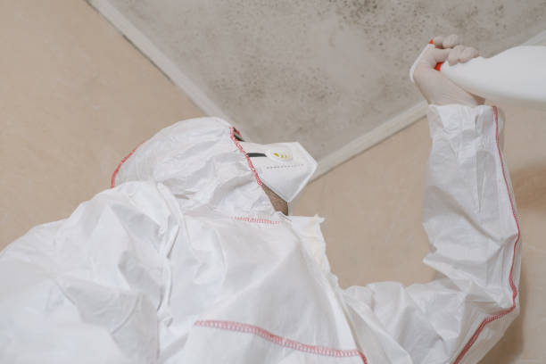 Best Commercial Mold Removal  in Oak Grove, MN