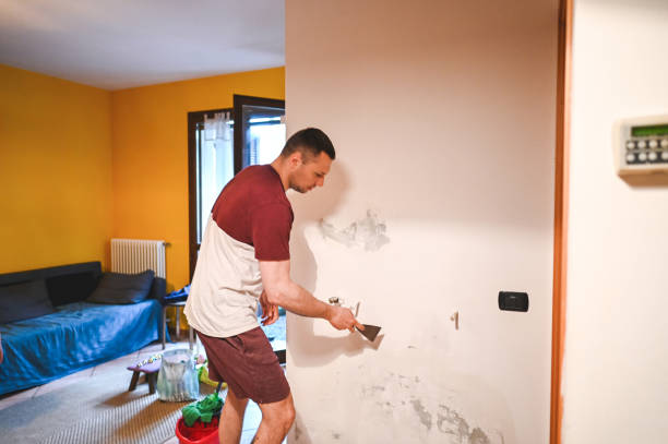 Best Same-Day Mold Removal  in Oak Grove, MN