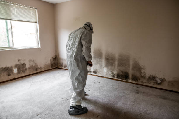Best Residential Mold Removal  in Oak Grove, MN
